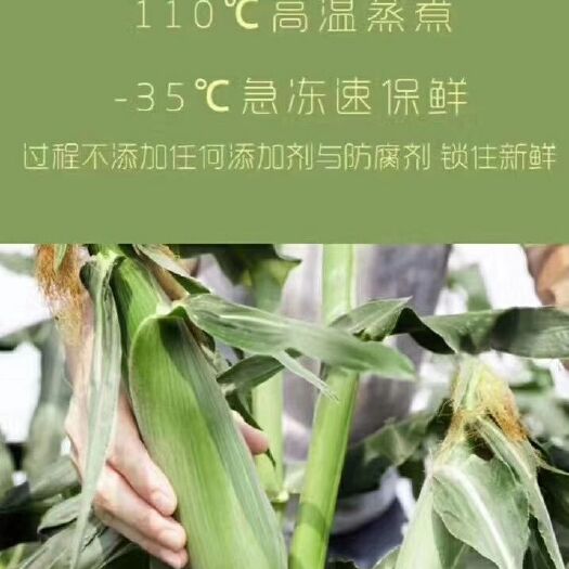 宝清县冻糯米 