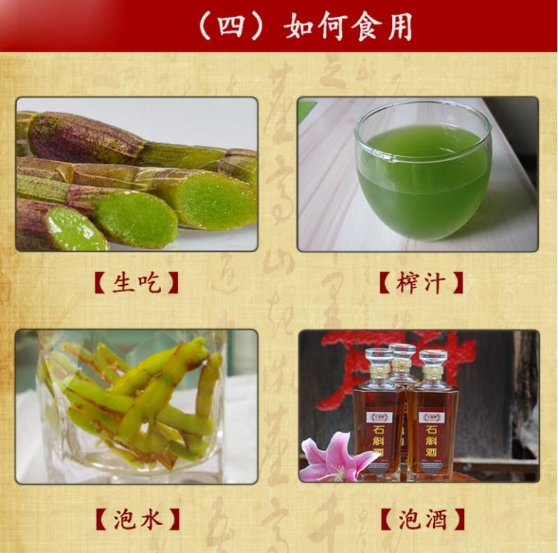 铁皮石斛 