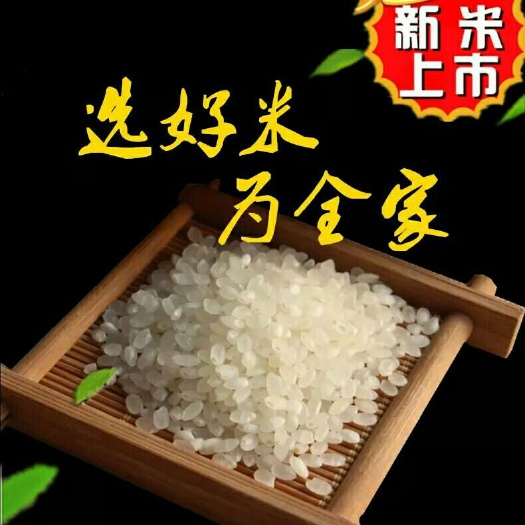 鞍山有机富硒米 一季稻 粳米 一等品