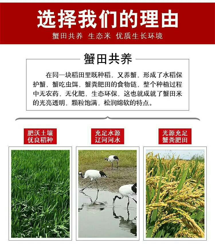 有机富硒米 一季稻 粳米 一等品