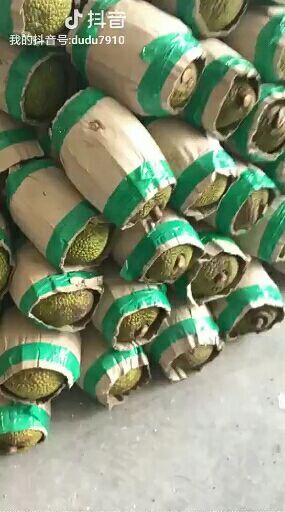 凭祥市越南菠萝蜜 10-15斤