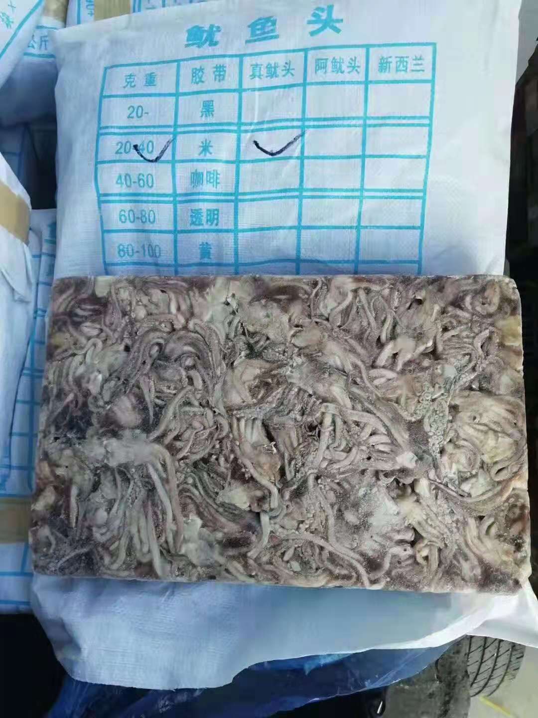 阿根廷鱿鱼