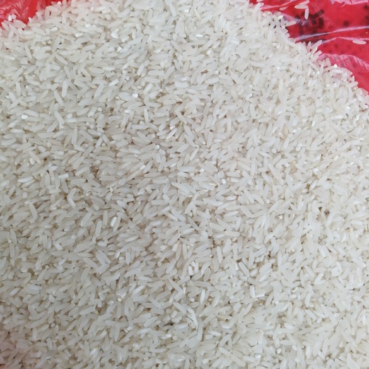 丰城市有机米 晚稻 籼米 二等品