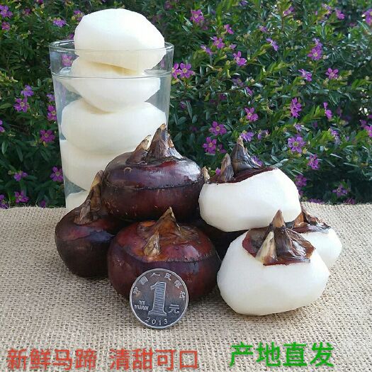 荔浦市马蹄  荸荠   地栗  当季水果 脆甜化渣  产地直发 包