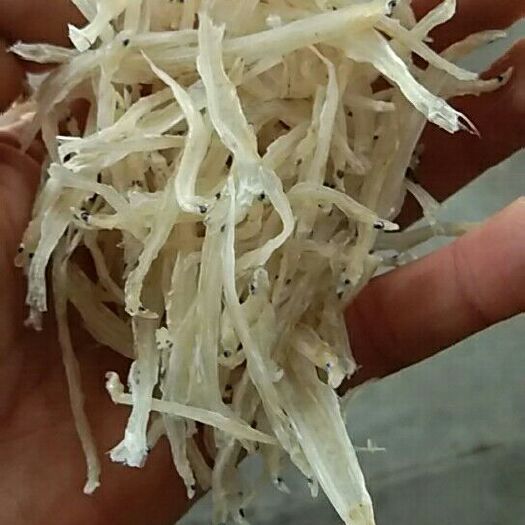 益阳银鱼干 银鱼丝