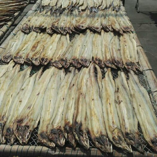 广州鳗鱼干