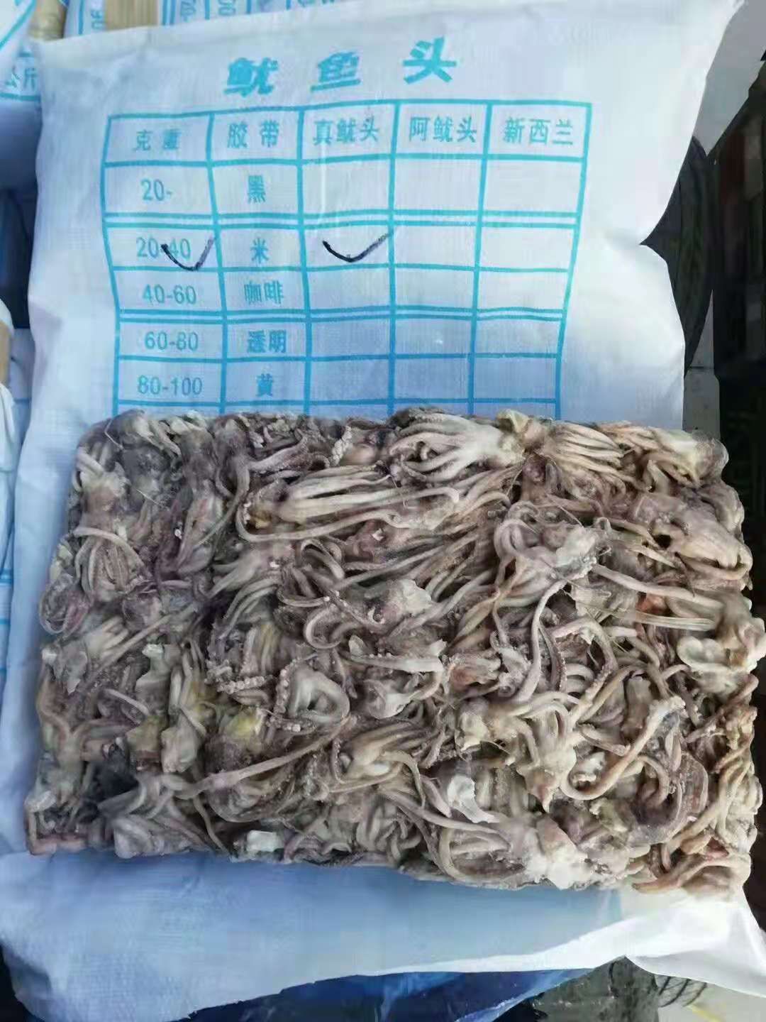 阿根廷鱿鱼
