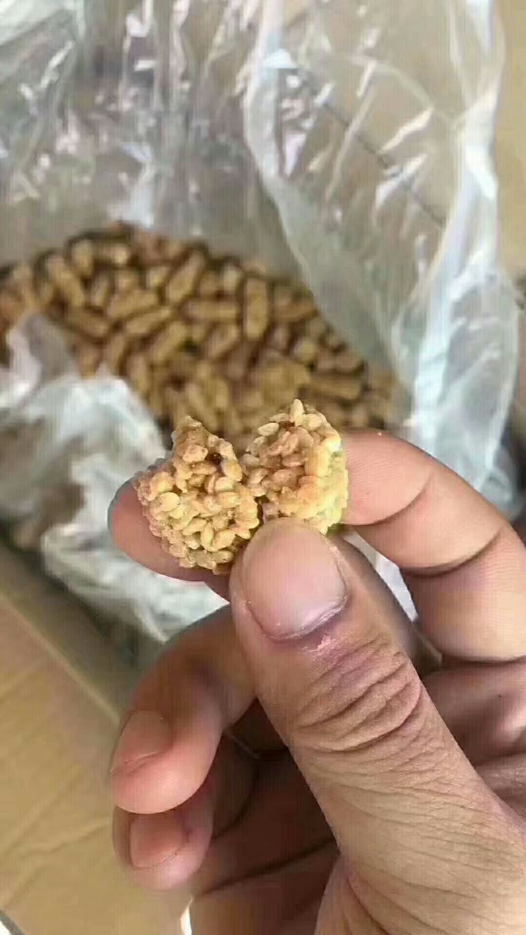 燕麦仁