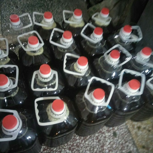 巴马县现榨山茶油 