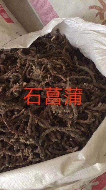 蕲春县大别山全粉质石菖蒲  中药材菖蒲地标优品！过滚筒货！