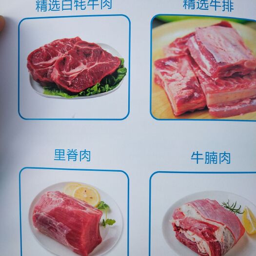 天祝县天祝白牦牛  800-1000斤 统货 天祝白牦牛肉