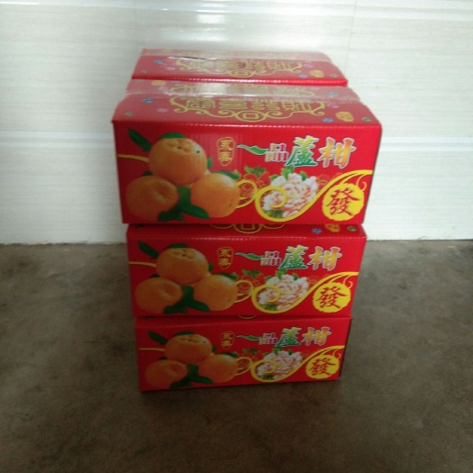 芦柑  永春芦柑，中大果