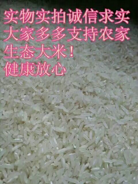 洞口县晶两优1206大米 中稻 籼米 一等品 