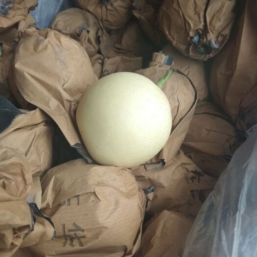 赵县皇冠梨 300-350g 70mm以上