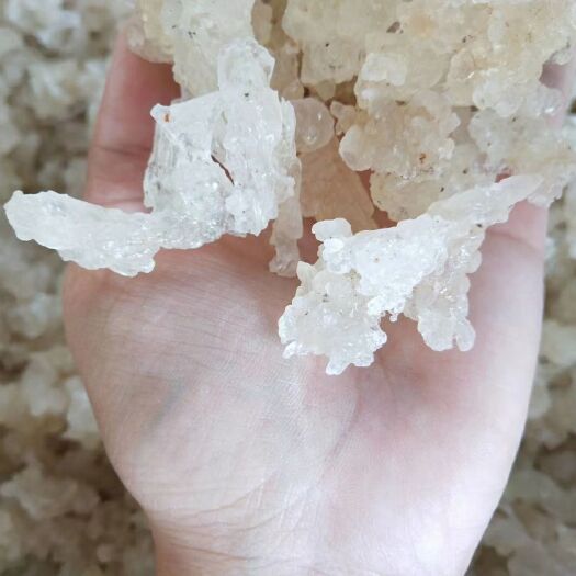 勐海县雪燕 