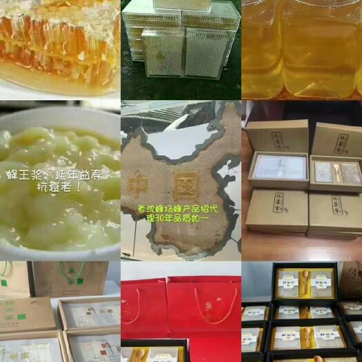 蒙阴县洋槐蜂蜜 塑料瓶装  2年 槐花蜜