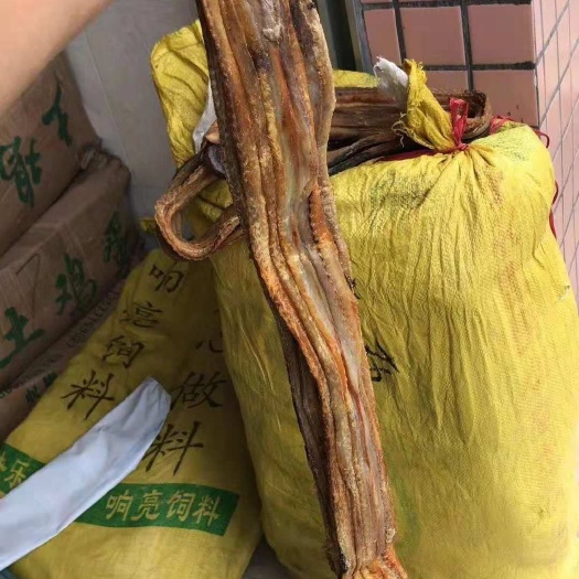 广州鳗鱼干