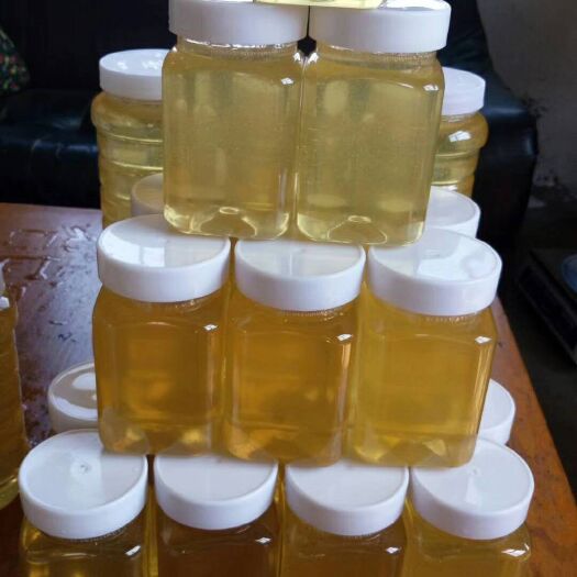 蒙阴县洋槐蜂蜜 塑料瓶装  2年 槐花蜜