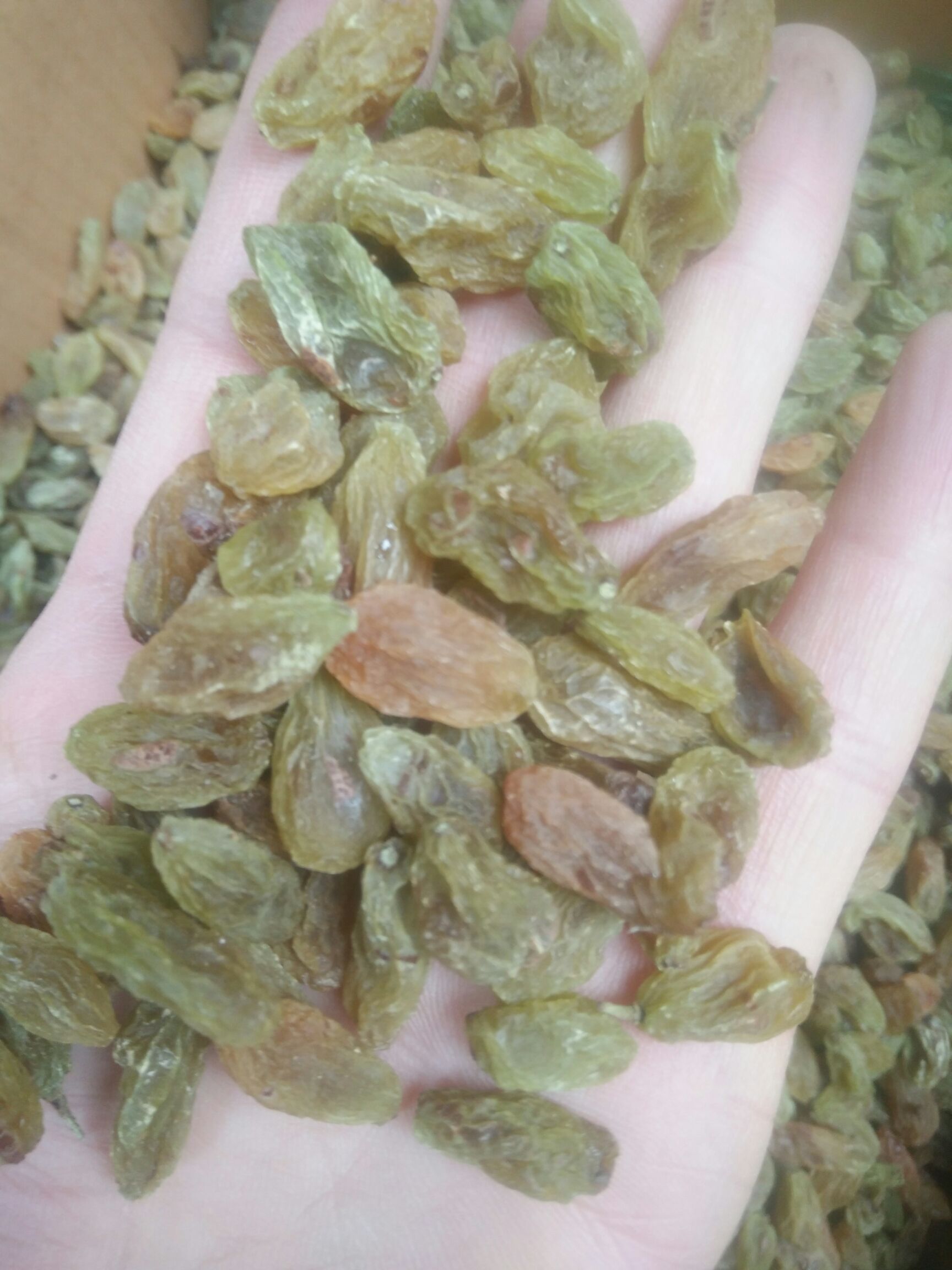 新疆绿葡萄干 优等