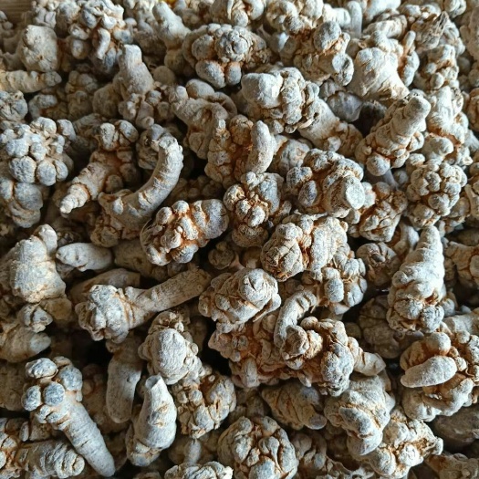 三七