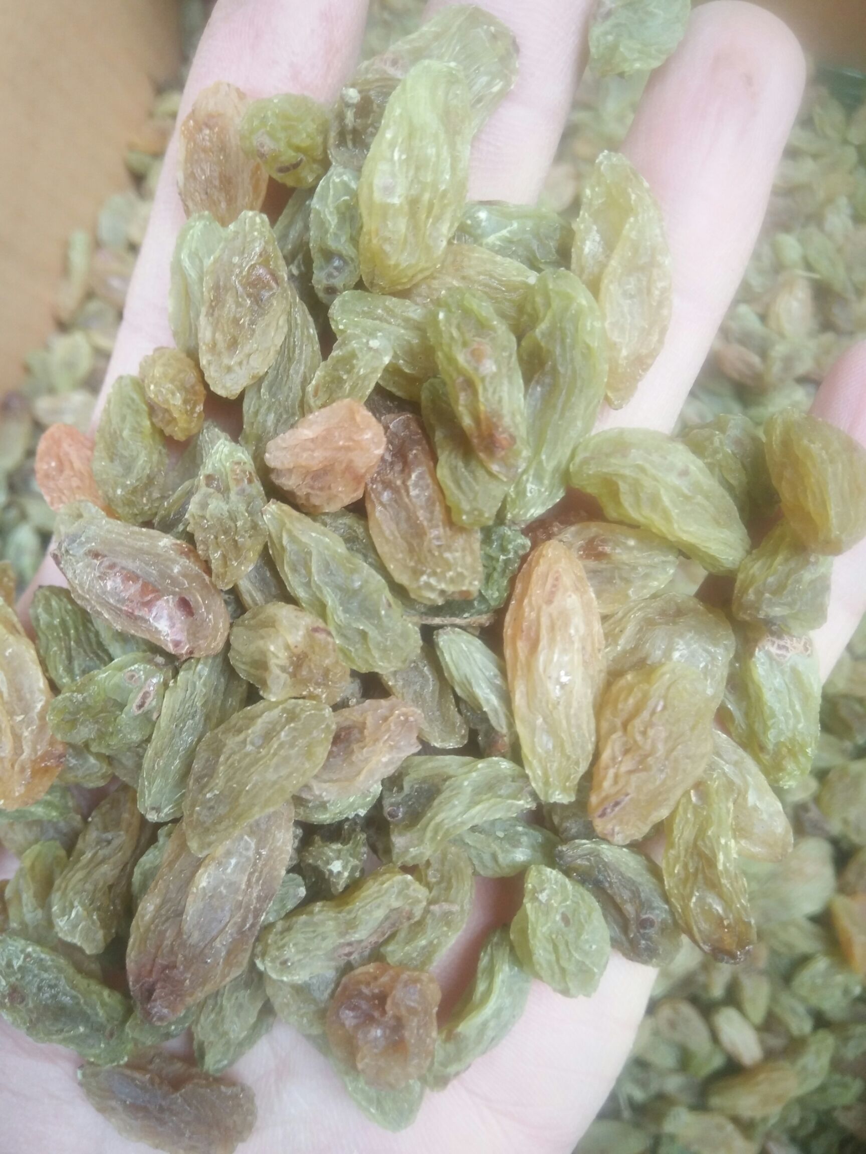 新疆绿葡萄干 优等