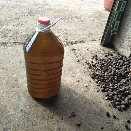祁阳市现榨山茶油 