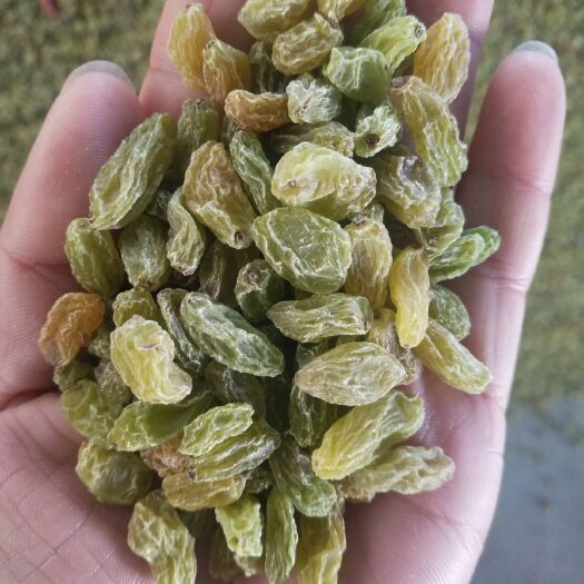吐鲁番 绿宝石葡萄干，绿葡萄干，无核白葡萄干，绿葡萄干，自然晾干口感