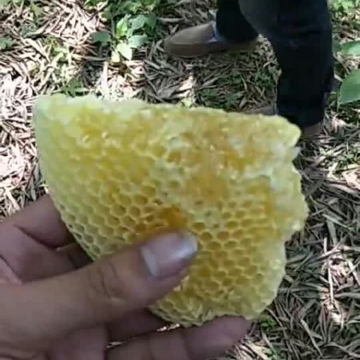 沅陵县百花蜜 塑料瓶装 90%以上 2年以上