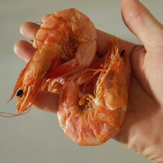 北海即食虾干1 即食虾干 12-18个月