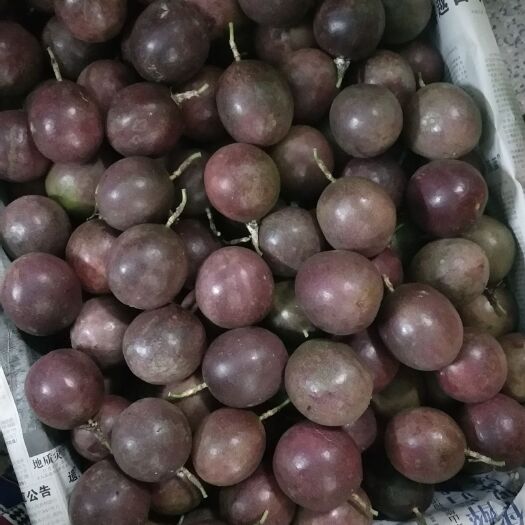 岑溪市紫香一号百香果 50 - 60克 