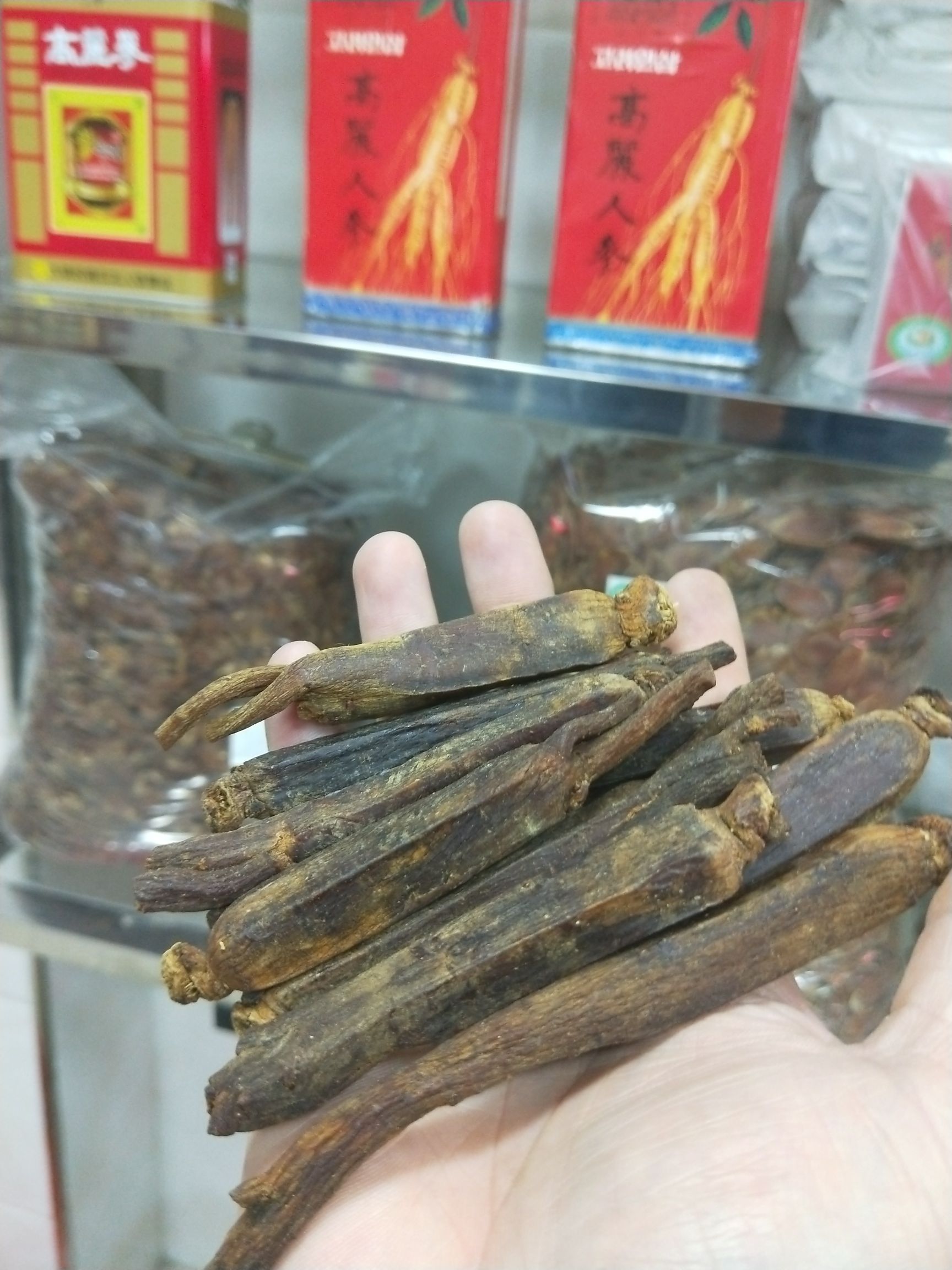 高丽参