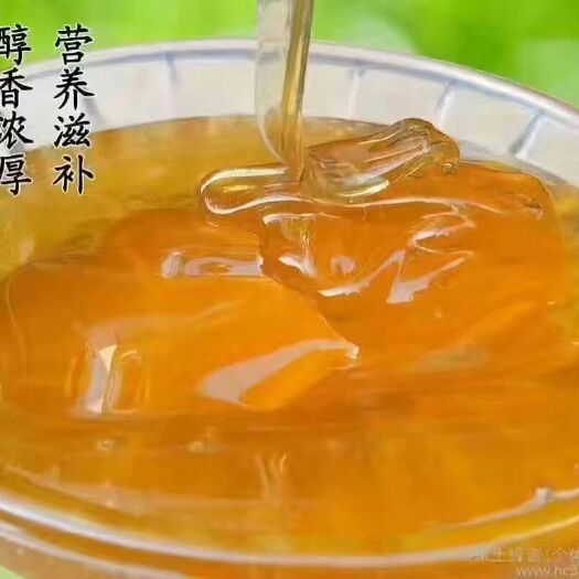 蒙阴县百花蜜 塑料瓶装  2年 