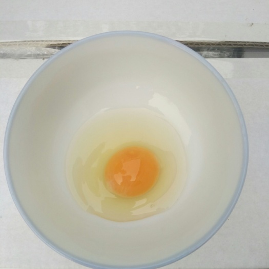招远市绿壳鸡蛋 食用 箱装