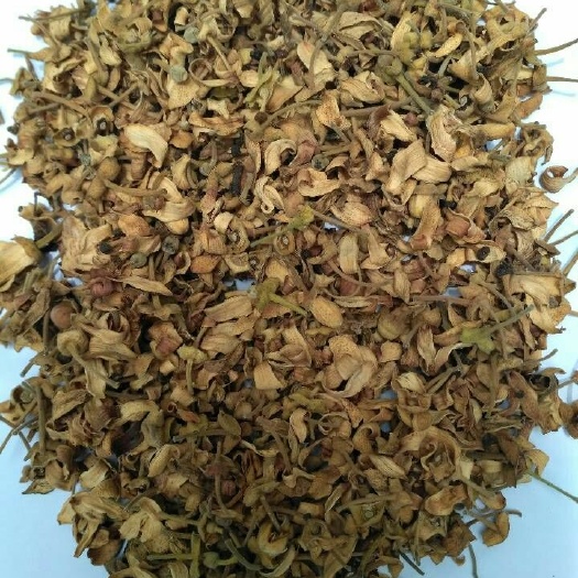 化州市橘红花 正毛