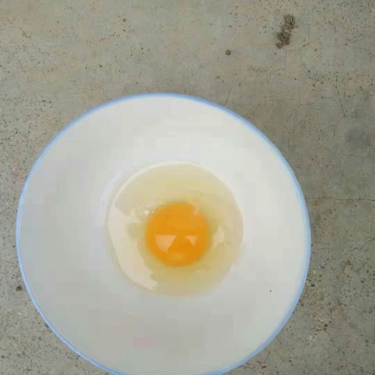易县柴鸡蛋 食用 散装