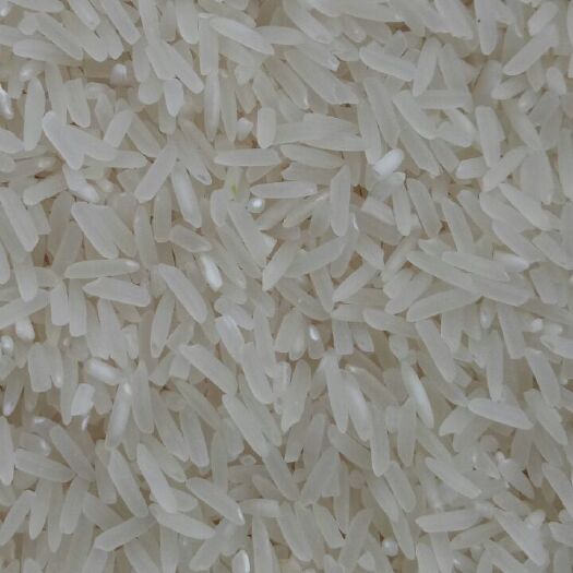 香米 一等品 晚稻 粳米