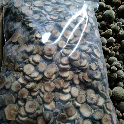 化州市化橘红 胎果更有药用价值