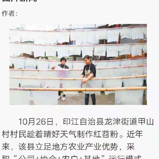 印江县红薯粉