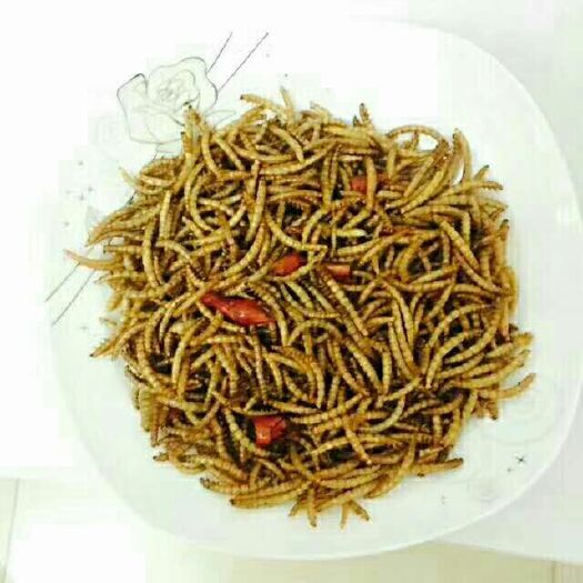 伊川县黄粉虫