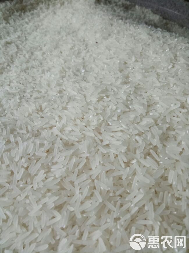 香米 一等品 晚稻 粳米