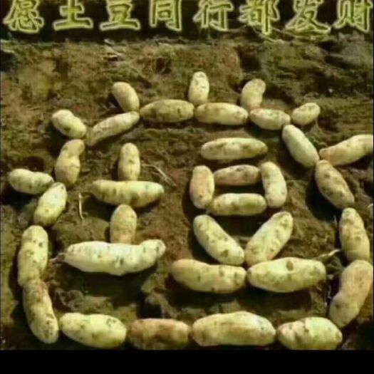 哈尔滨牛津885 2两以上