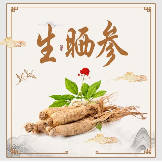 蛟河市园参   【产地直销】产地直销吉林人参 白参  生晒参产地直