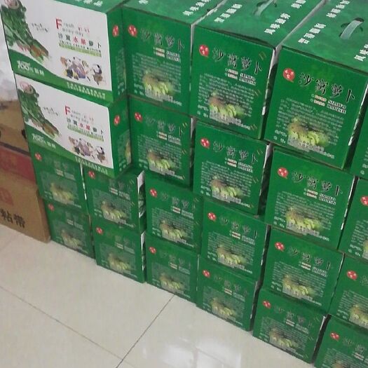 天津水果萝卜 0.2~1斤
