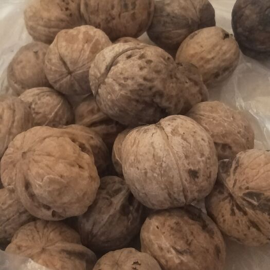介休市薄皮核桃
