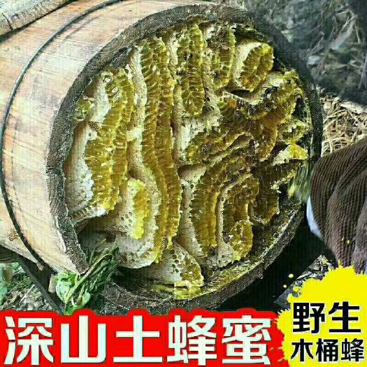 三门县土蜂蜜 玻璃瓶装  2年以上 
