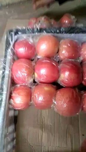 潍坊冰糖心苹果 纸+膜袋 条红 80mm以上