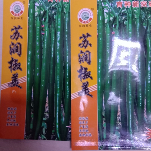 兰陵县线椒种子 ≥90% ≥97% 杂交种