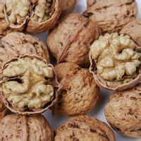 鲁甸县 鲁甸核桃