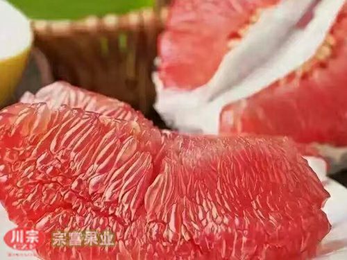 成都红心柚苗