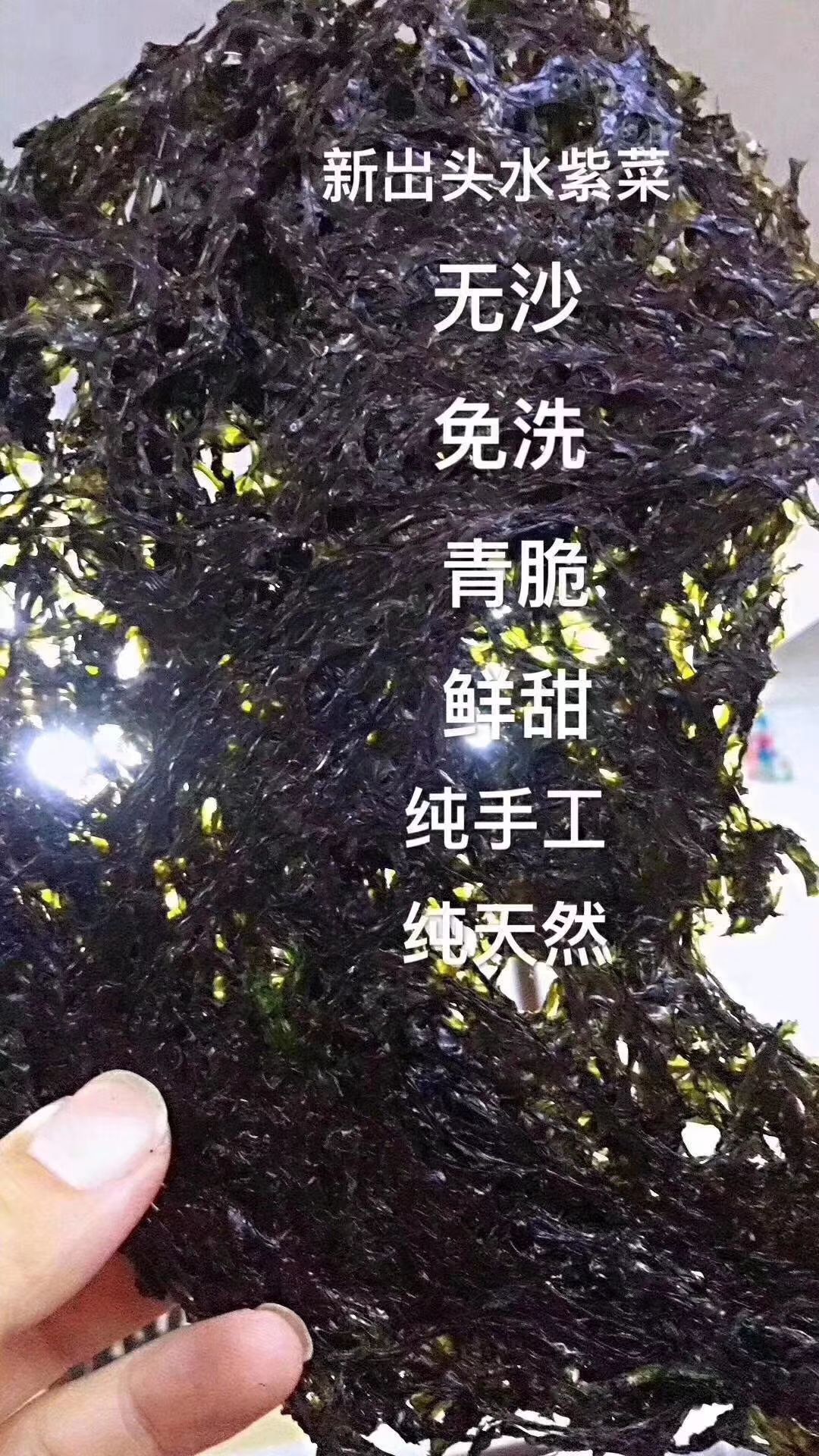 六鰲紫菜